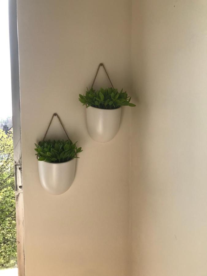 Appartement Cosy Hyper Centre Loulou At Home Bethune Bagian luar foto